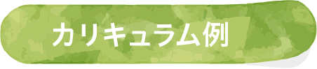 カリキュラム例